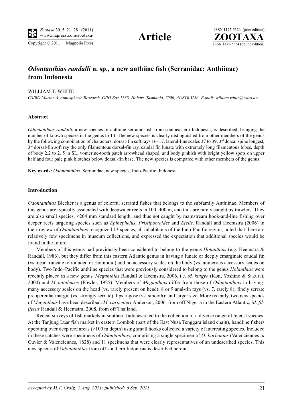 Odontanthias Randalli N. Sp., a New Anthiine Fish (Serranidae: Anthiinae) from Indonesia