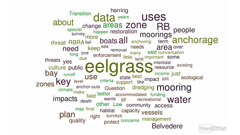 Draft Eelgrass Protection & Management Plan (EPMP)