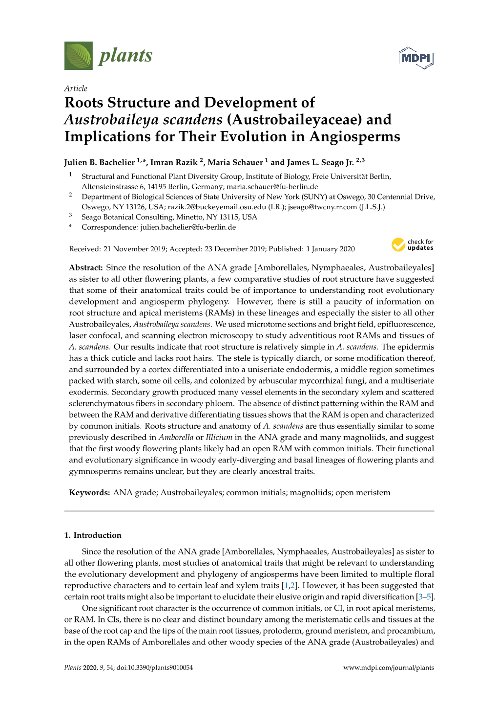 Roots Structure and Development of Austrobaileya Scandens (Austrobaileyaceae) and Implications for Their Evolution in Angiosperms