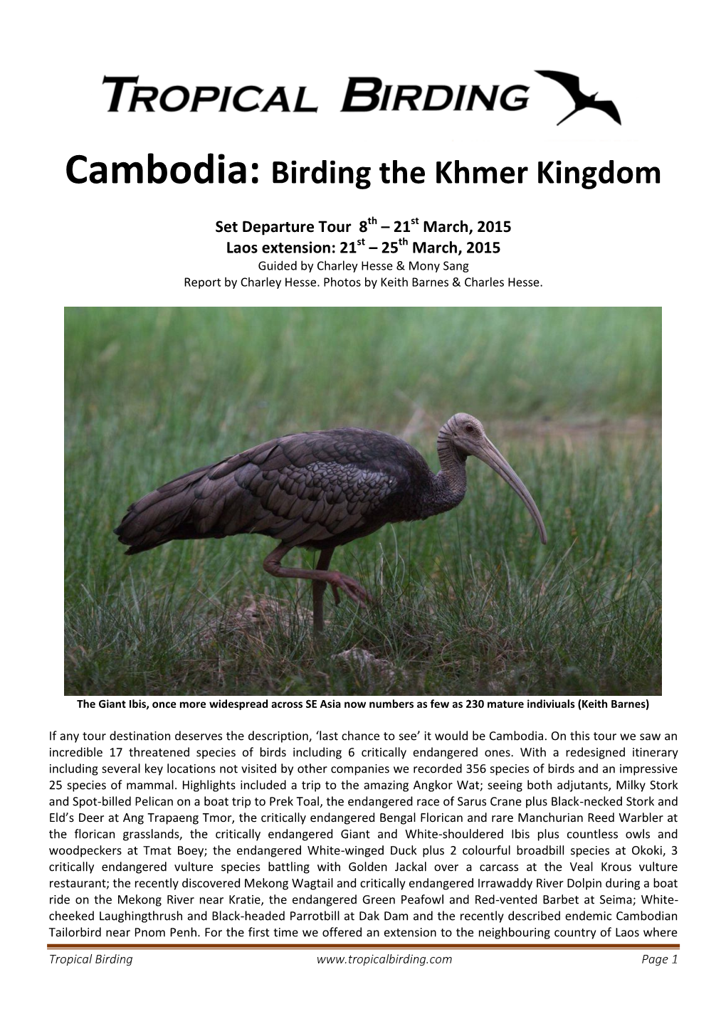Cambodia: Birding the Khmer Kingdom
