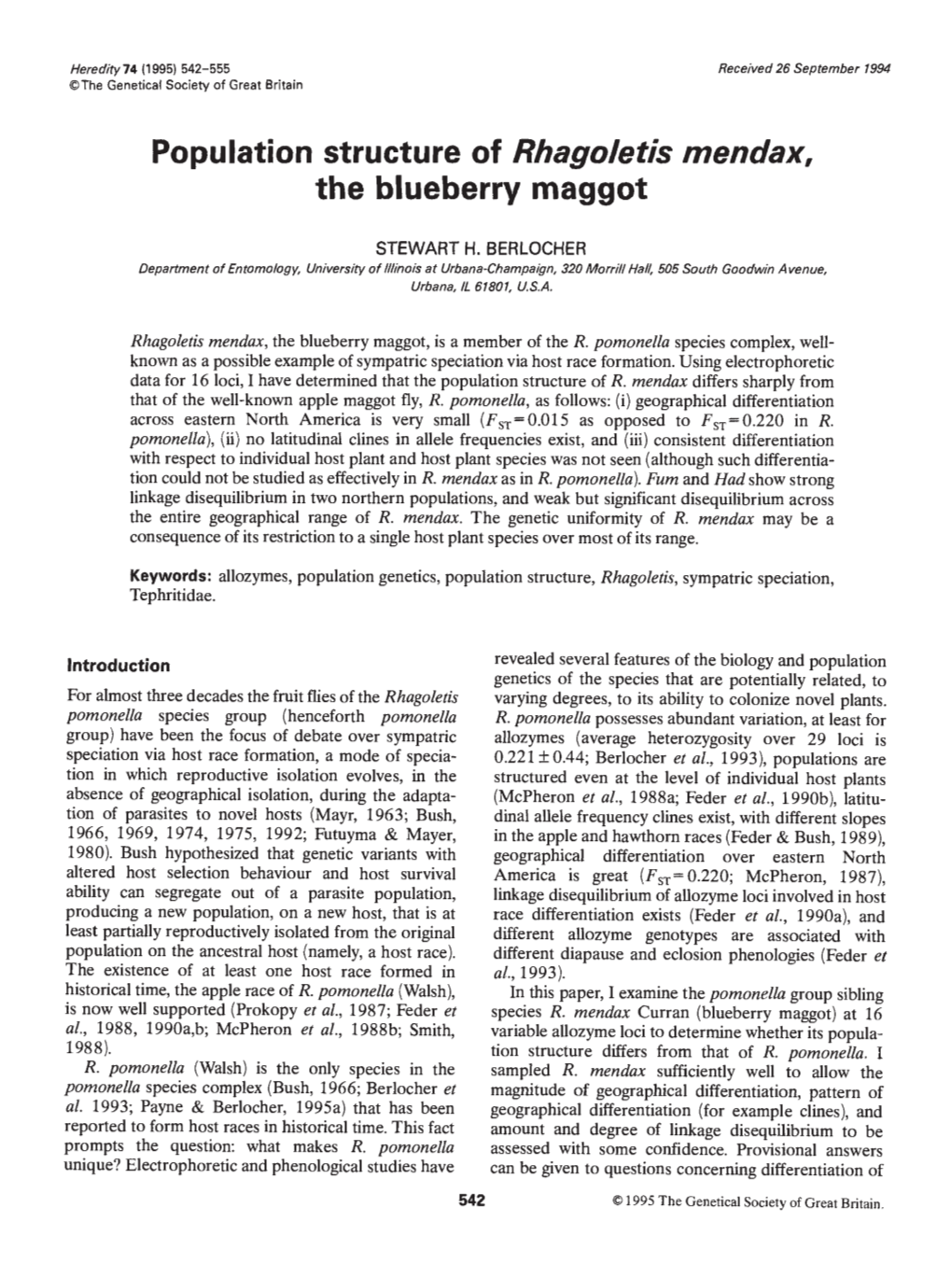 The Blueberry Maggot