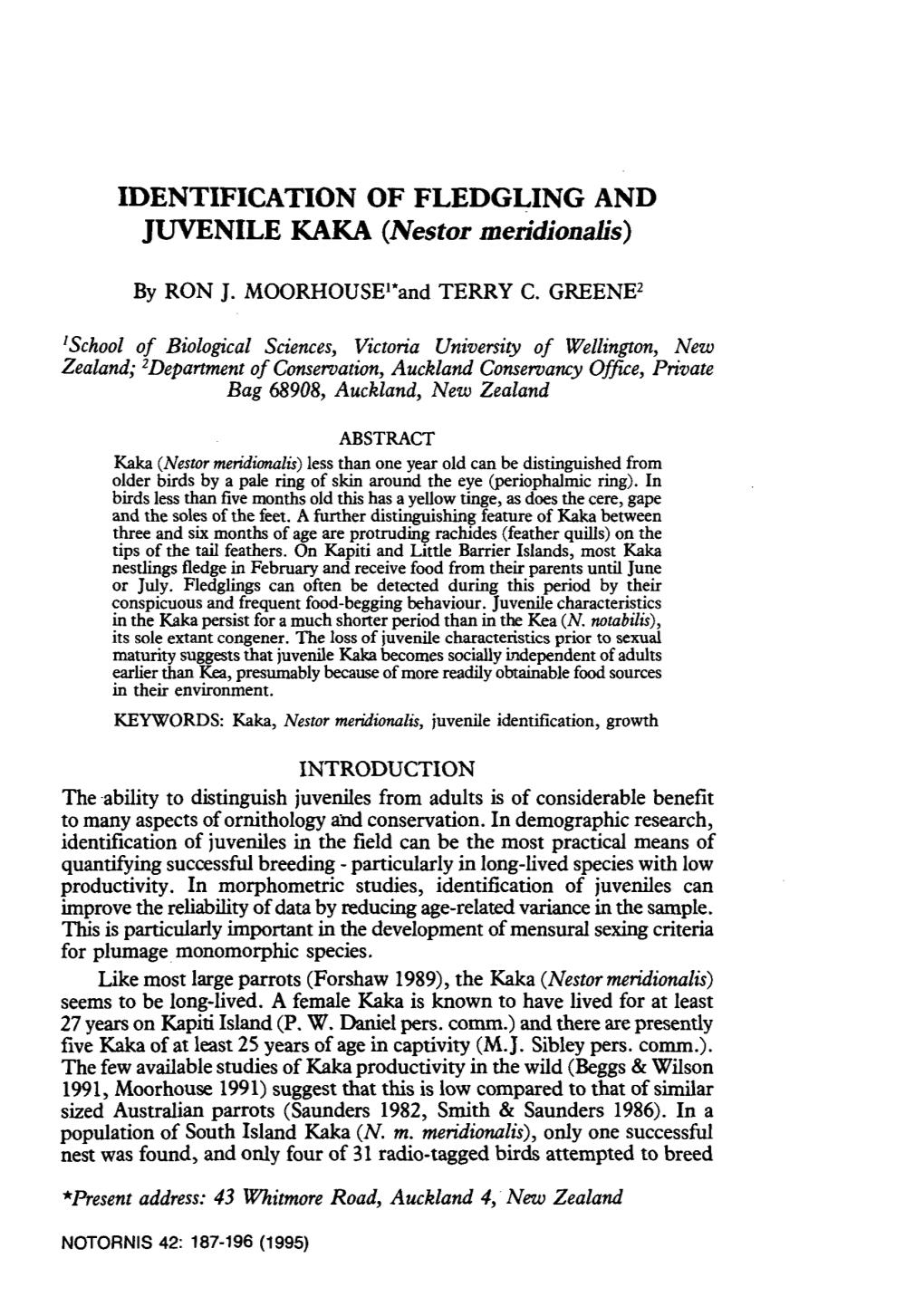 IDENTIFICATION of FLEDGLING and JUVENILE KAKA (Nestor Meridionalis)