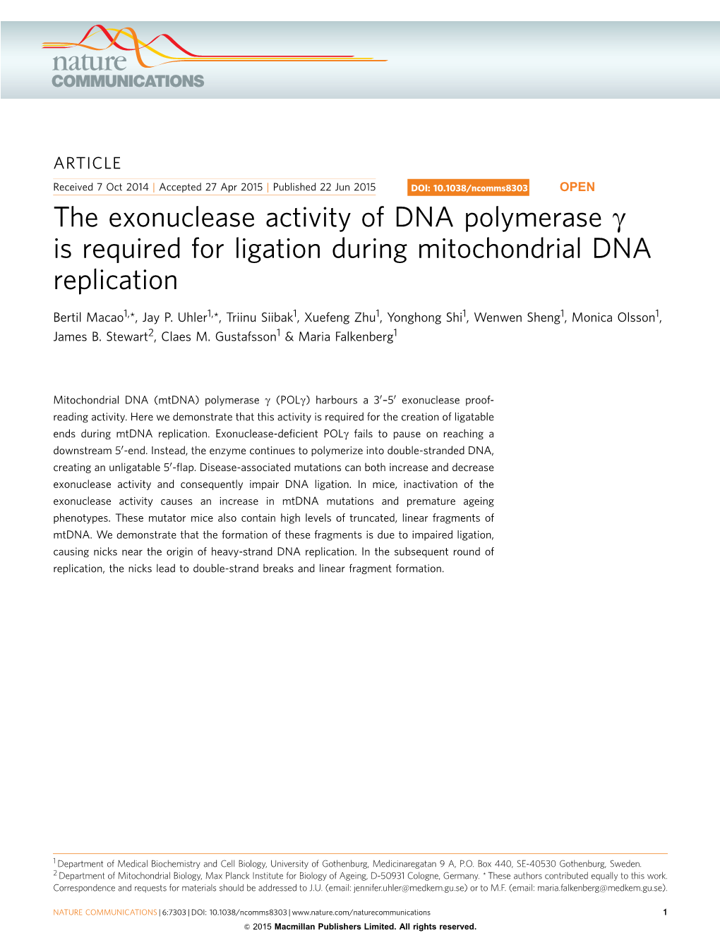 The Exonuclease Activity of DNA Polymerase &Gamma; Is Required for Ligation During Mitochondrial DNA Replication