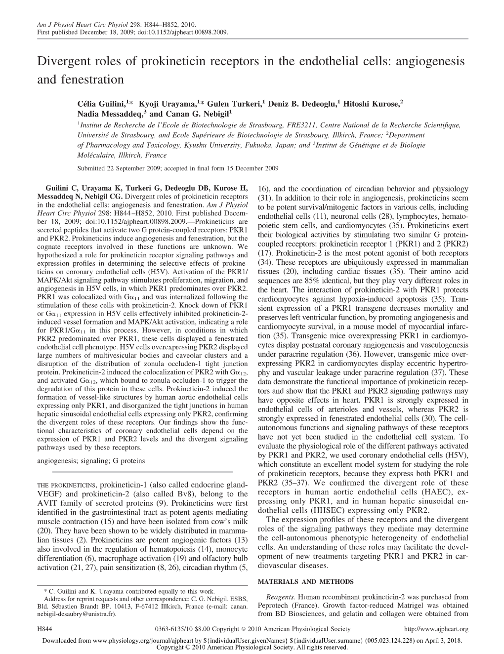 Divergent Roles of Prokineticin Receptors in the Endothelial Cells: Angiogenesis and Fenestration