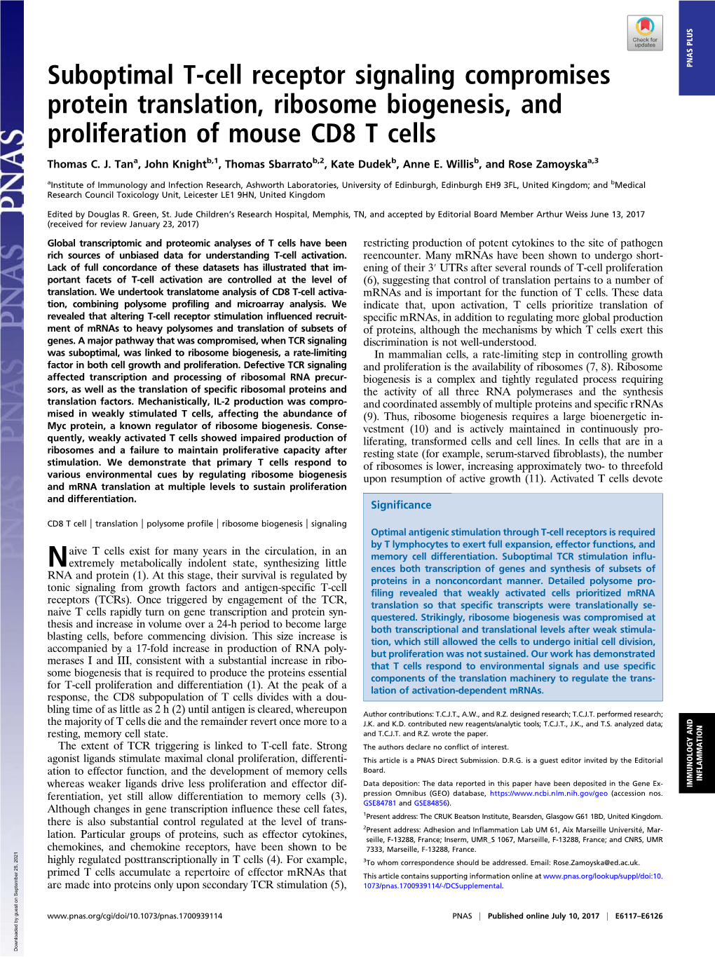 Suboptimal T-Cell Receptor Signaling Compromises Protein Translation