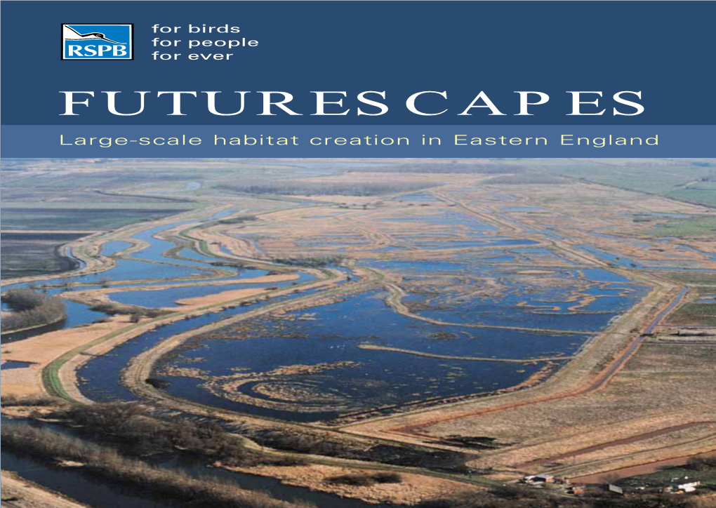 FUTURESCAPES Large-Scale Habitat Creation in Eastern England