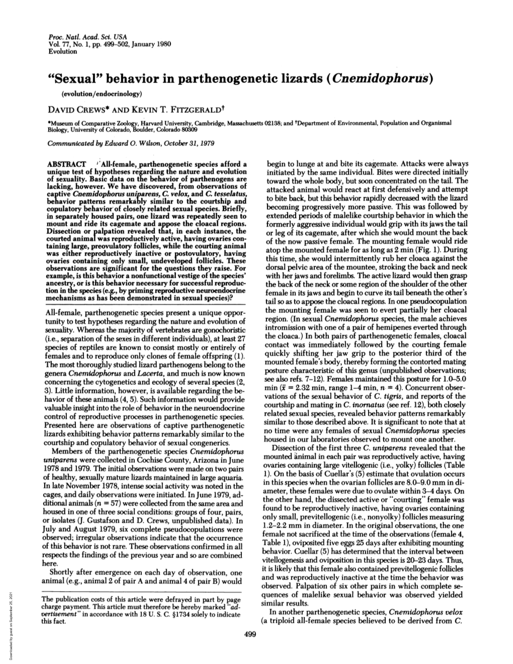 "Sexual" Behavior in Parthenogenetic Lizards (Cnemidophorus) (Evolution/Endocrinology) DAVID CREWS* and KEVIN T