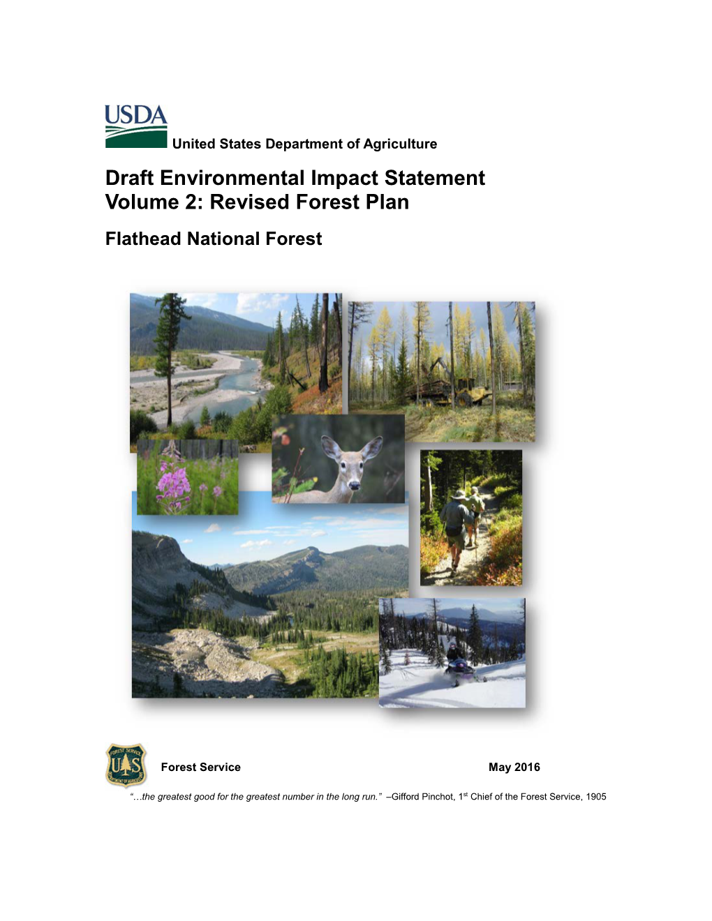 Volume 2 of the Flathead National Forest DEIS for the Revised Forest Plan