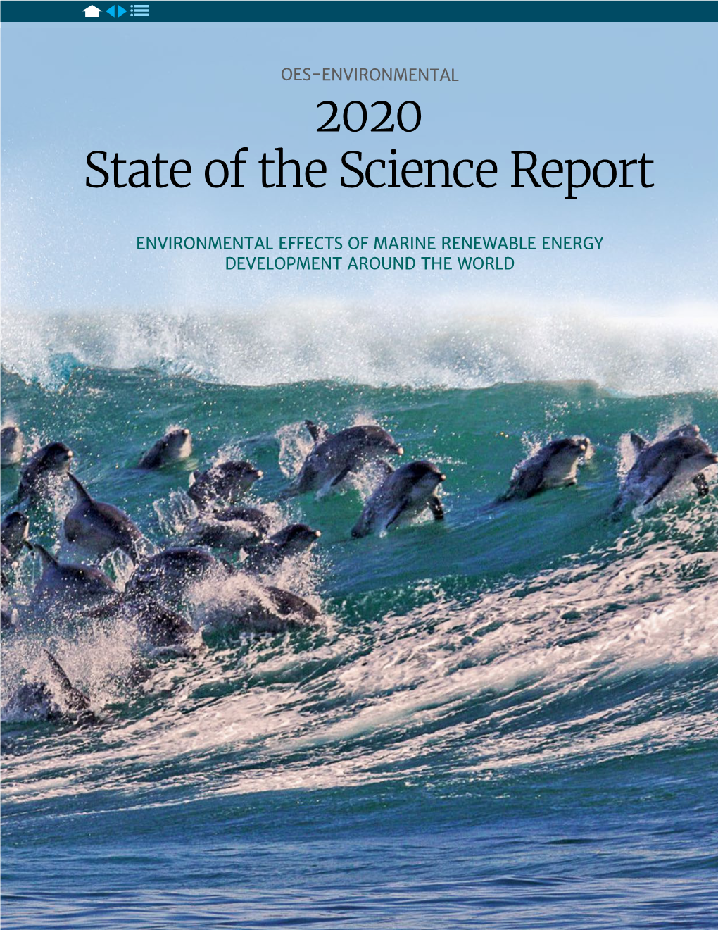 OES-ENVIRONMENTAL 2020 State of the Science Report