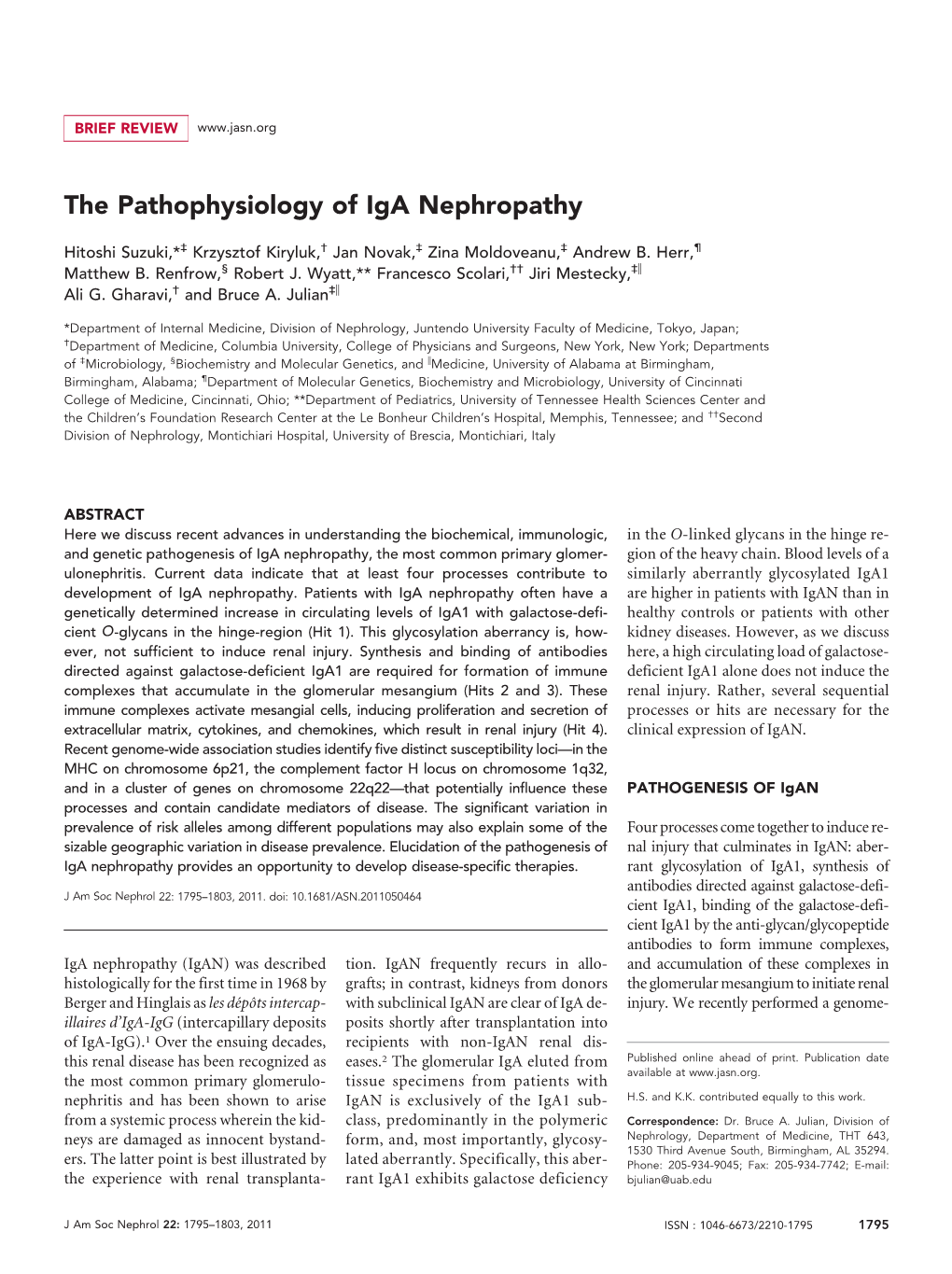 The Pathophysiology of Iga Nephropathy