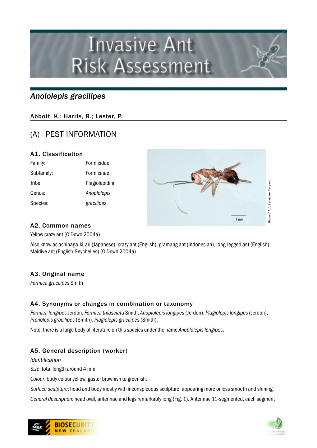 Yellow-Crazy-Ant-Risk-Assessment.Pdf