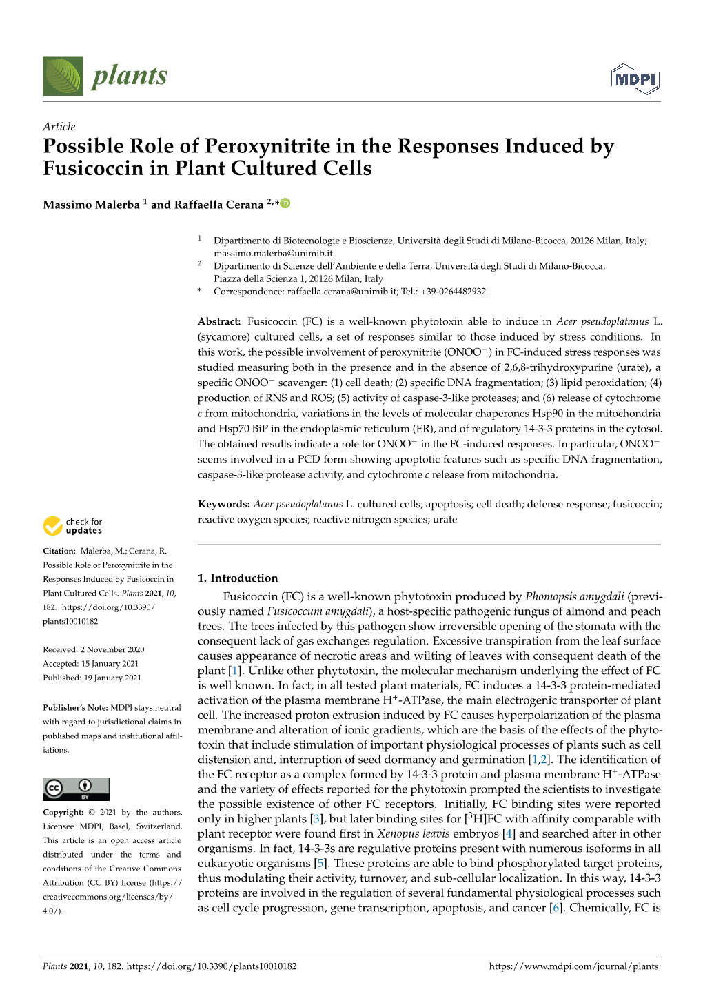 Possible Role of Peroxynitrite in the Responses Induced by Fusicoccin in Plant Cultured Cells