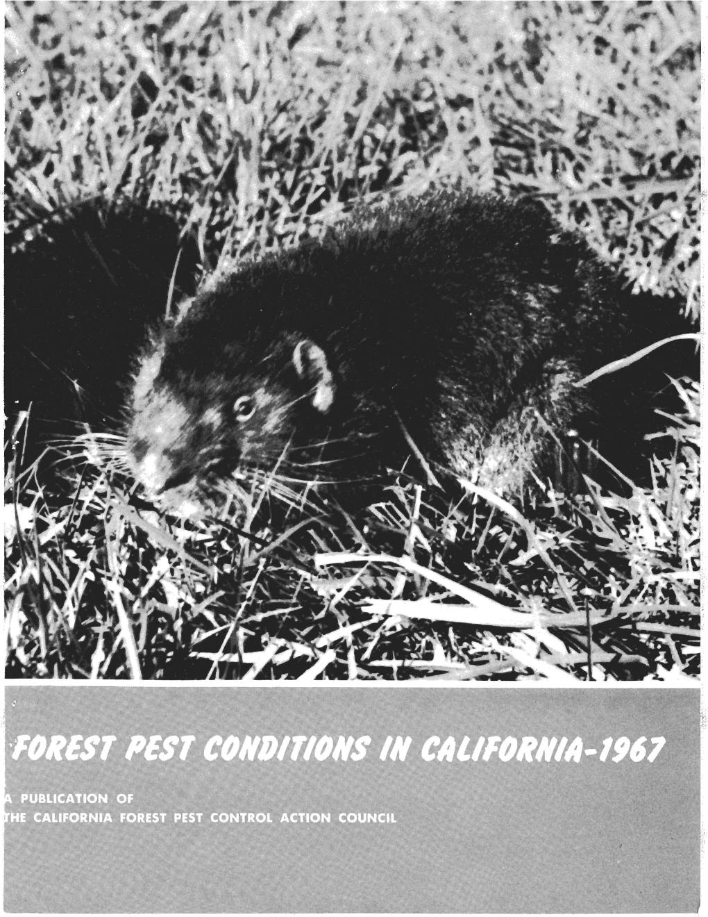 Forest Pest Conditions in California, 1967