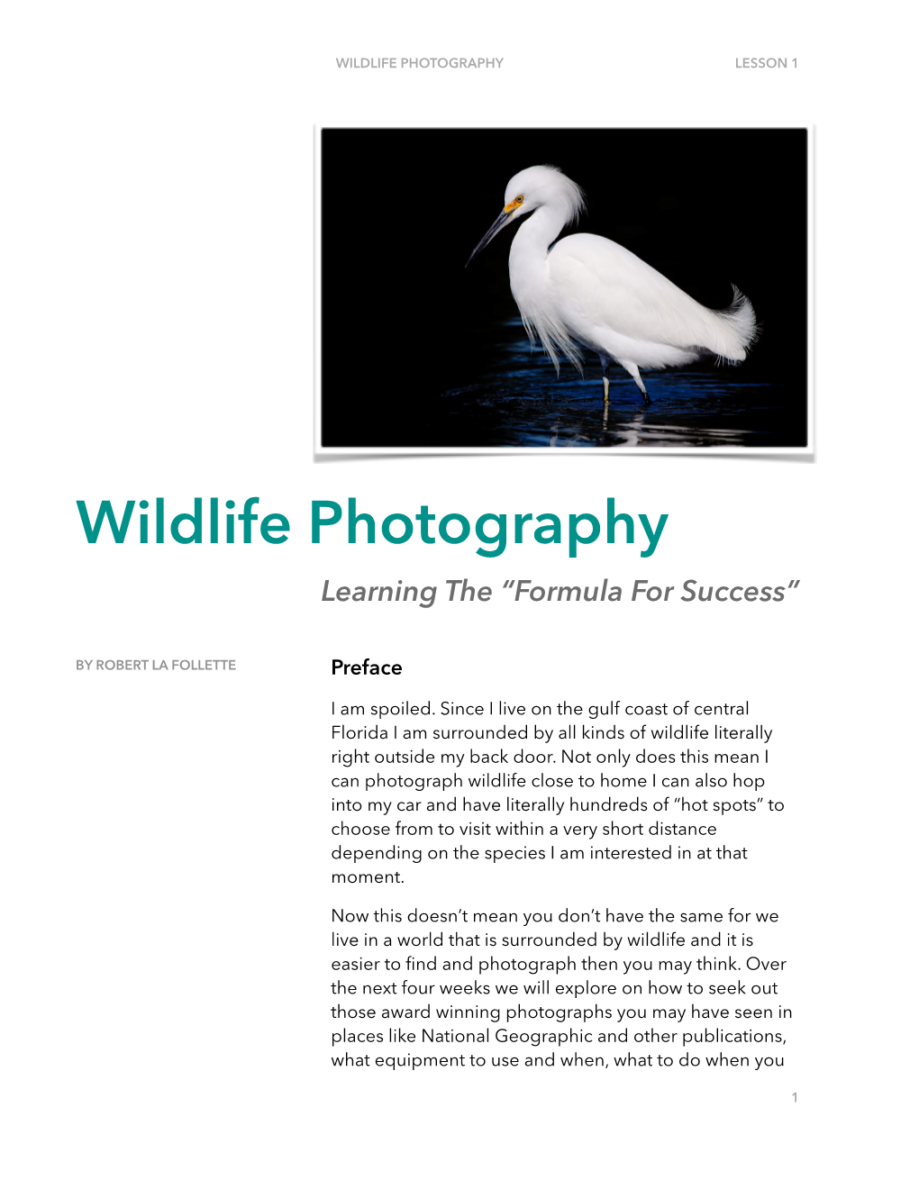 Wildlife Photography Lesson 1