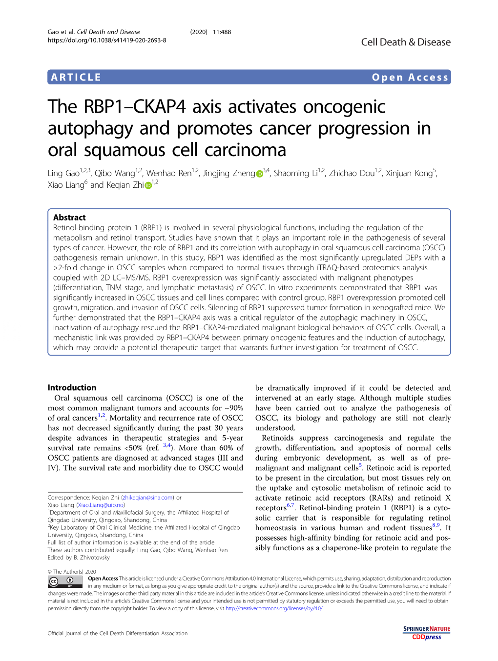 The RBP1–CKAP4 Axis Activates Oncogenic Autophagy and Promotes Cancer Progression in Oral Squamous Cell Carcinoma