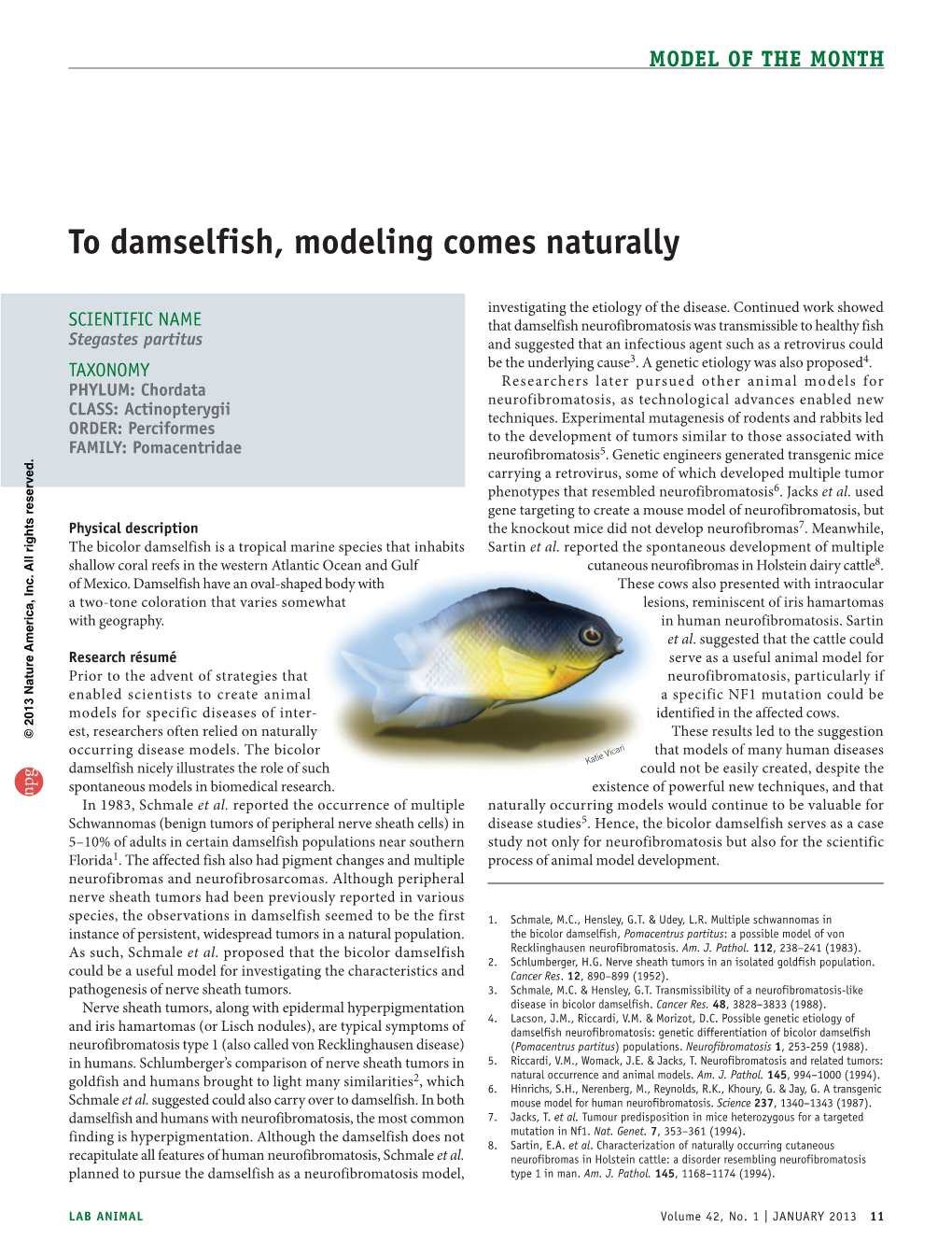 To Damselfish, Modeling Comes Naturally