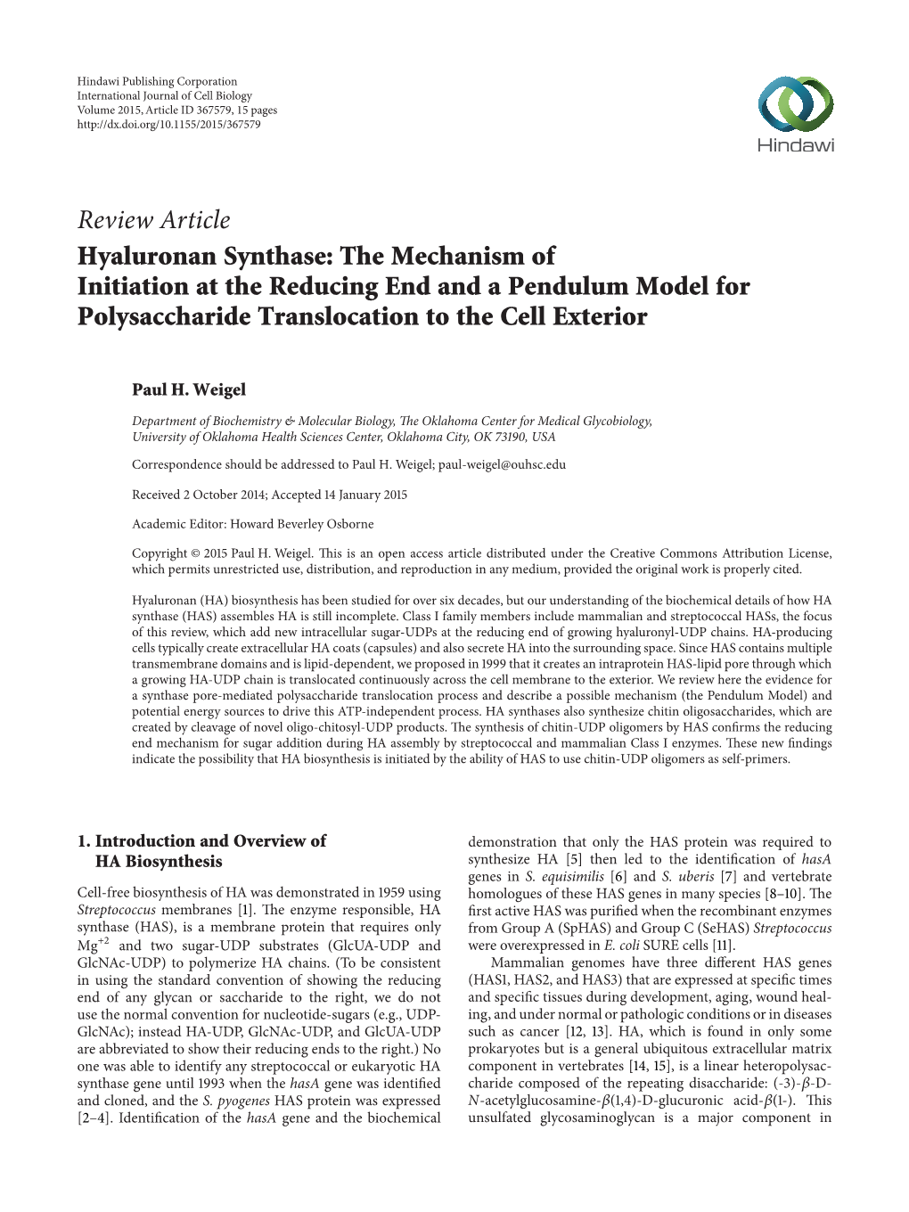 Hyaluronan Synthase: the Mechanism of Initiation at the Reducing End and a Pendulum Model for Polysaccharide Translocation to the Cell Exterior