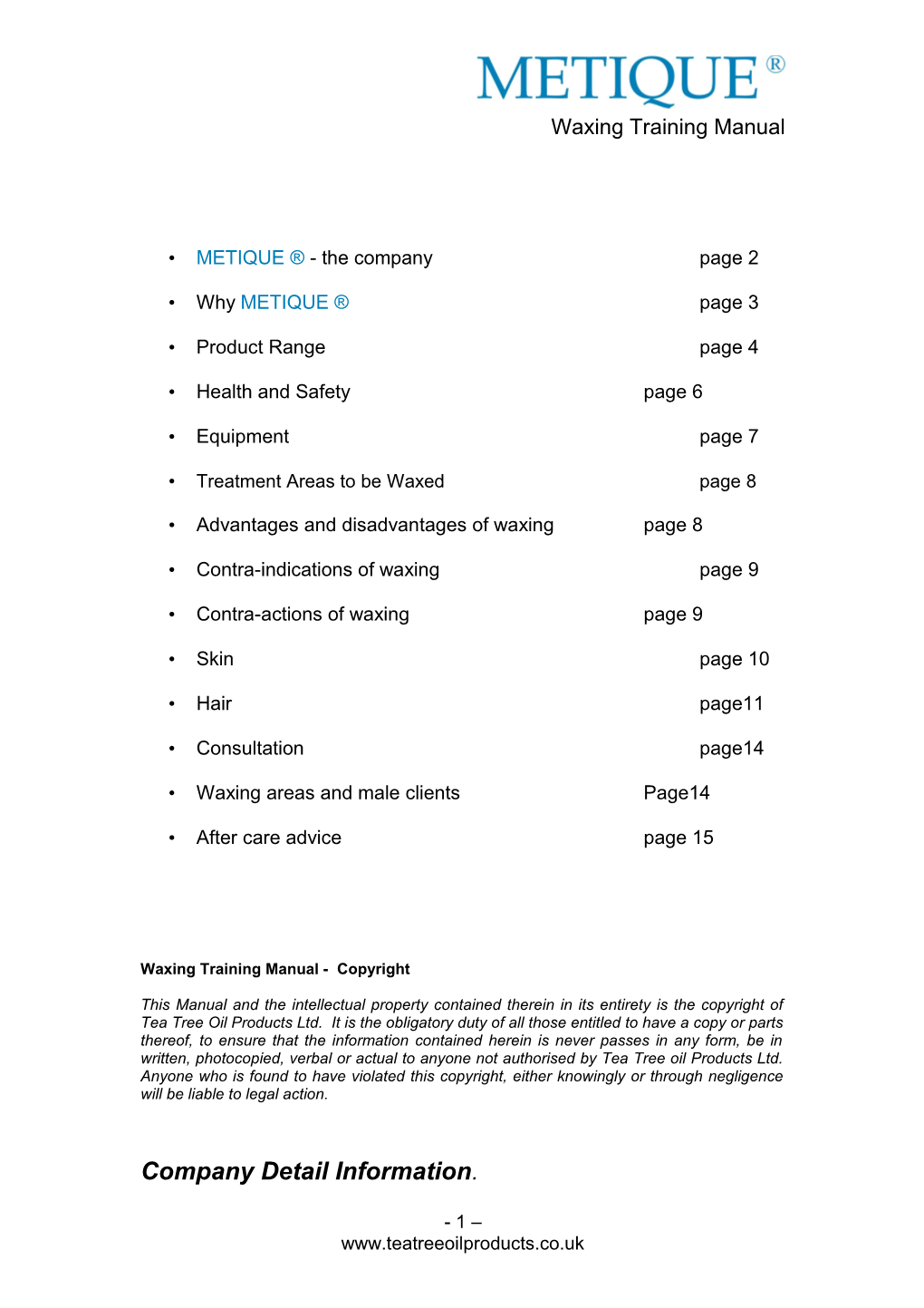 METIQUE - the Company Page 2