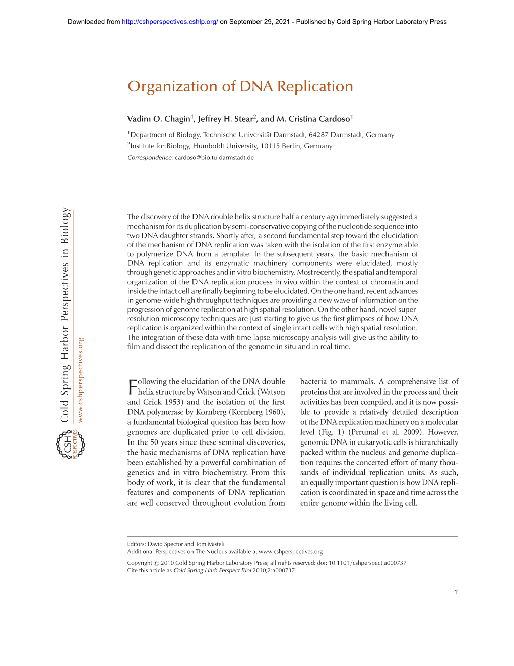 Organization of DNA Replication