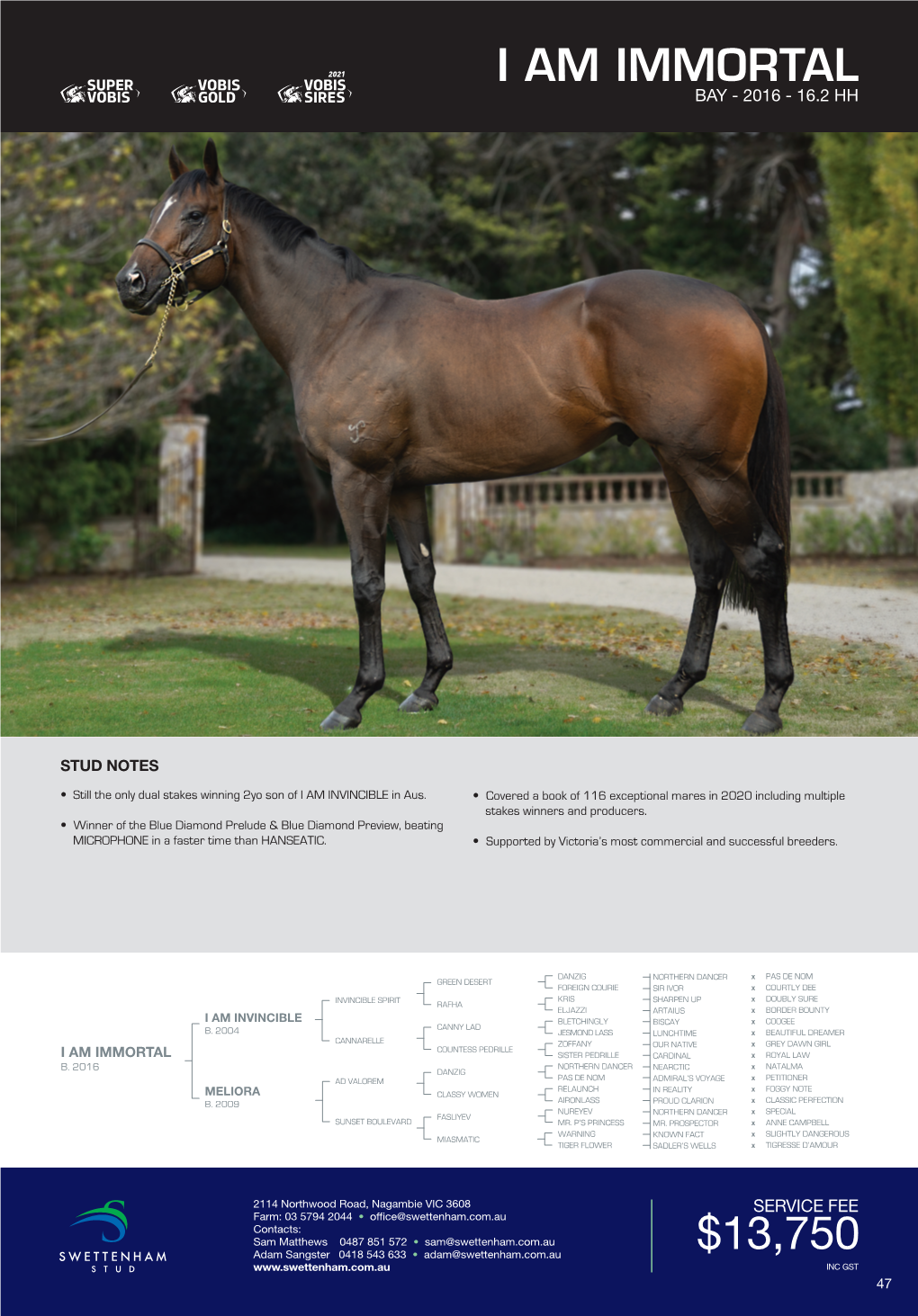 Stallion Brochure