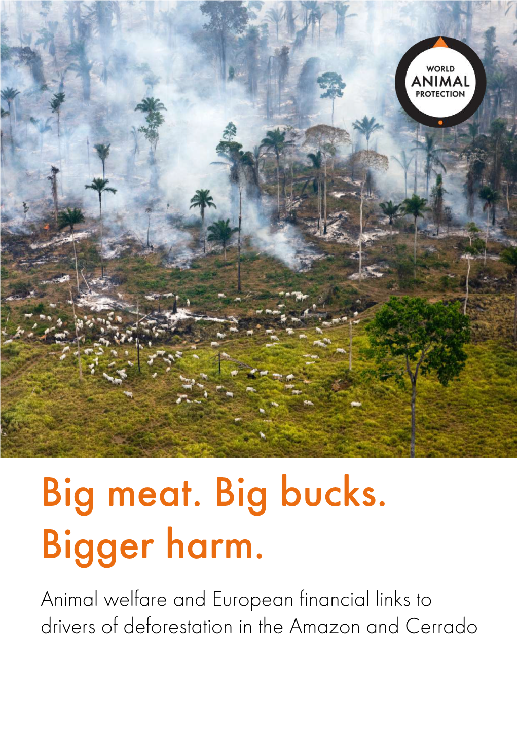 Big Meat. Big Bucks. Bigger Harm. Animal Welfare and European Financial Links to Drivers of Deforestation in the Amazon and Cerrado