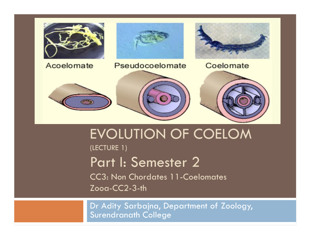 EVOLUTION of COELOM Part I