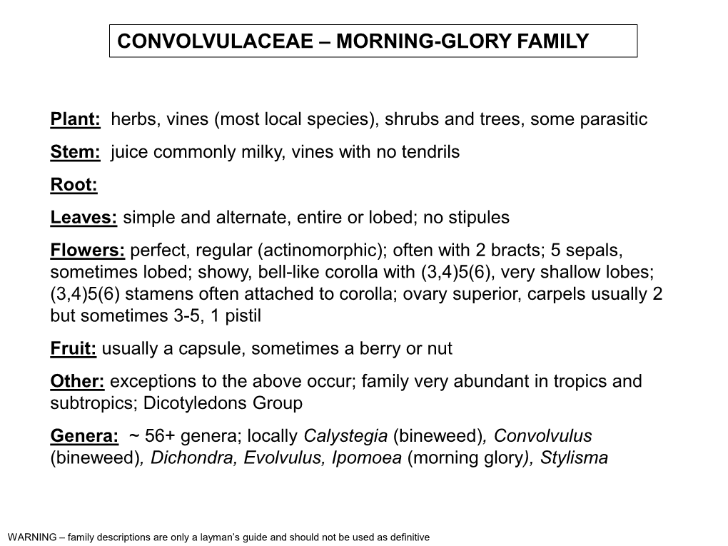 Convolvulaceae – Morning-Glory Family