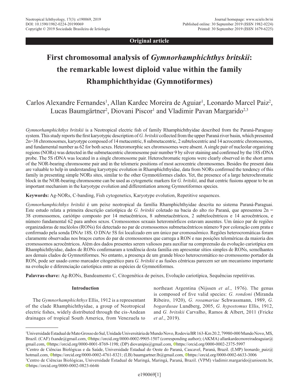 First Chromosomal Analysis of Gymnorhamphichthys Britskii: the Remarkable Lowest Diploid Value Within the Family Rhamphichthyidae (Gymnotiformes)