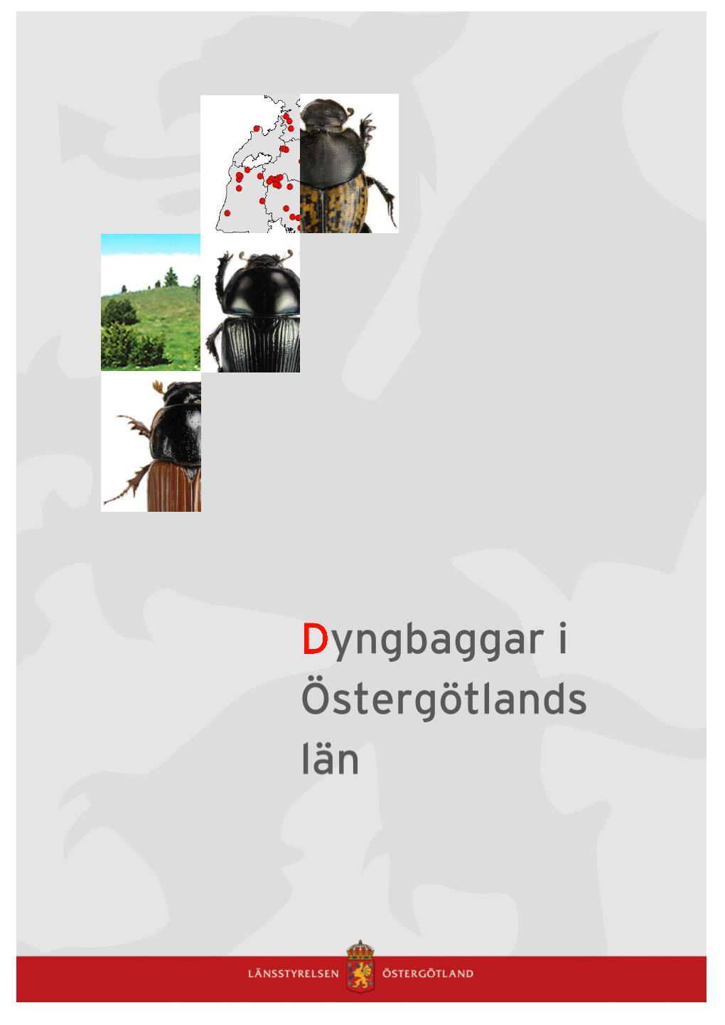 Dyngbaggar Rapport 2014 2.Pdf