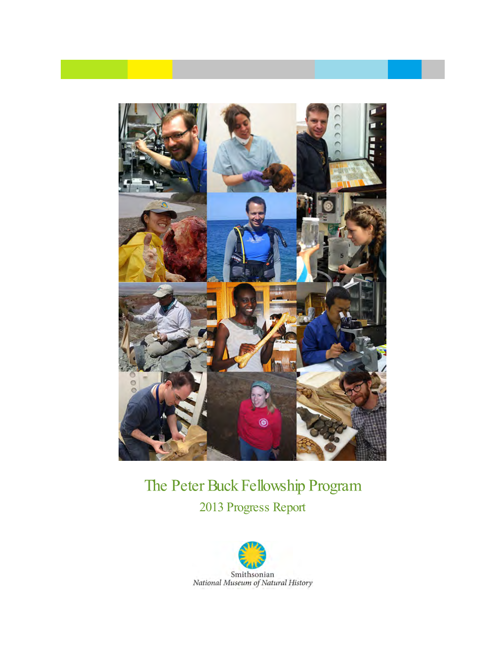The Peter Buck Fellowship Program 2013 Progress Report