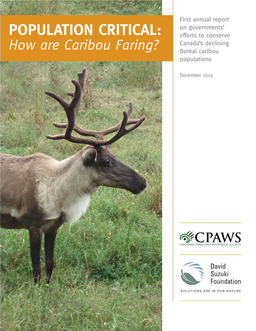 Population Critical: How Are Caribou Faring?