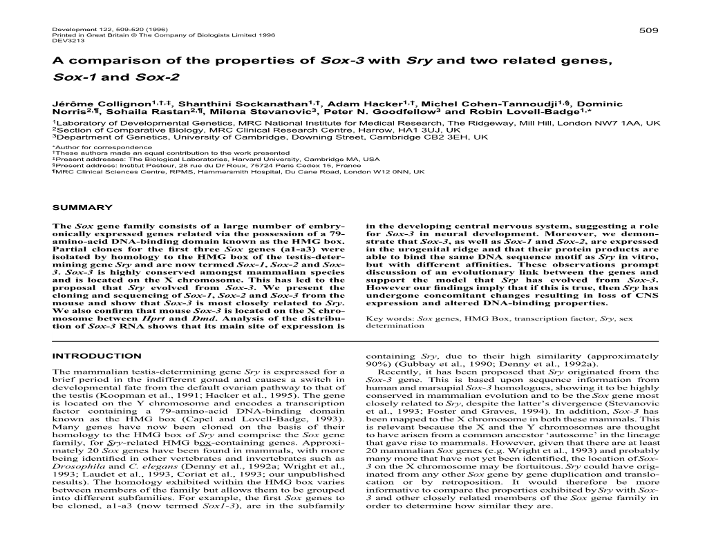 A Comparison of the Properties of Sox-3 with Sry and Two Related Genes, Sox-1 and Sox-2