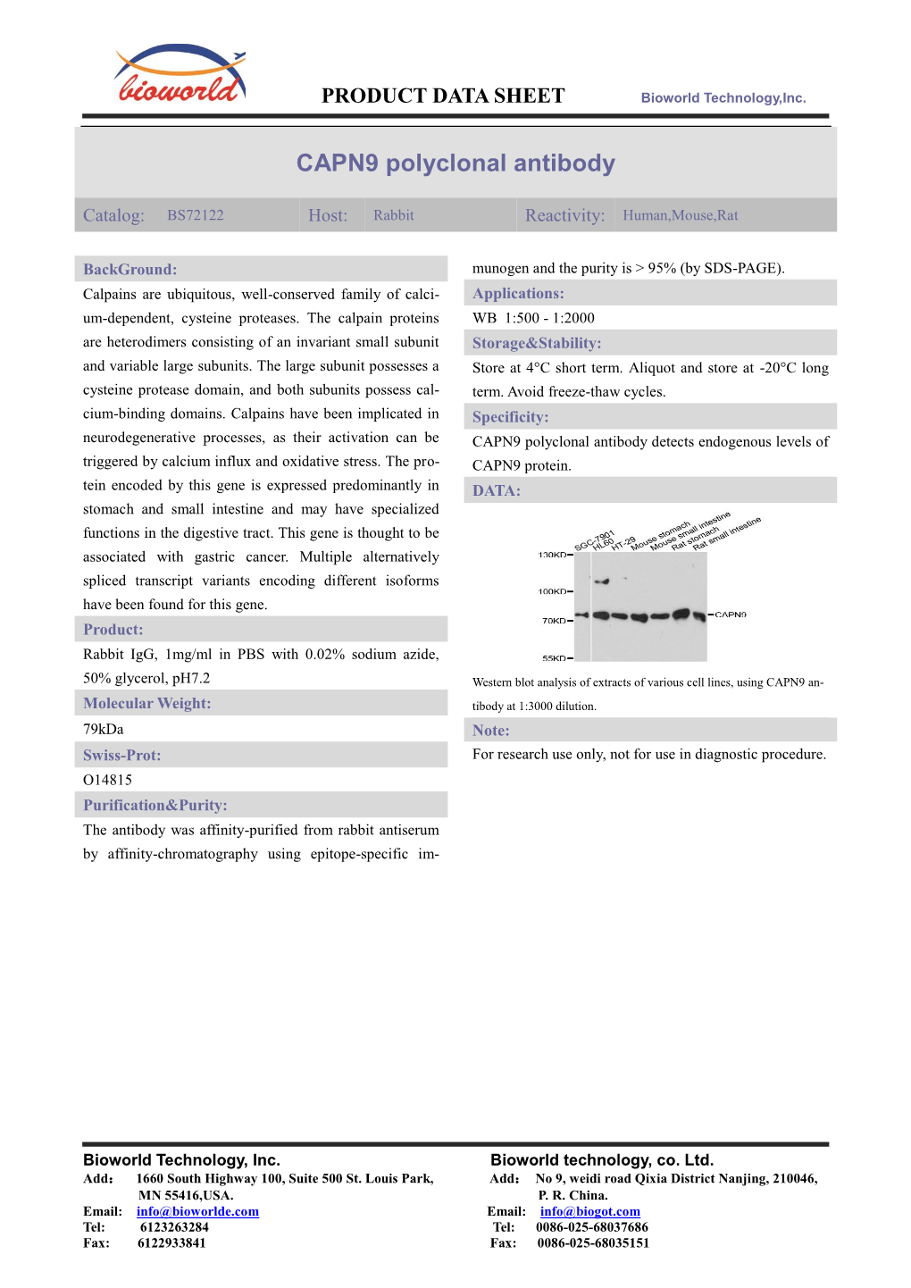 CAPN9 Polyclonal Antibody