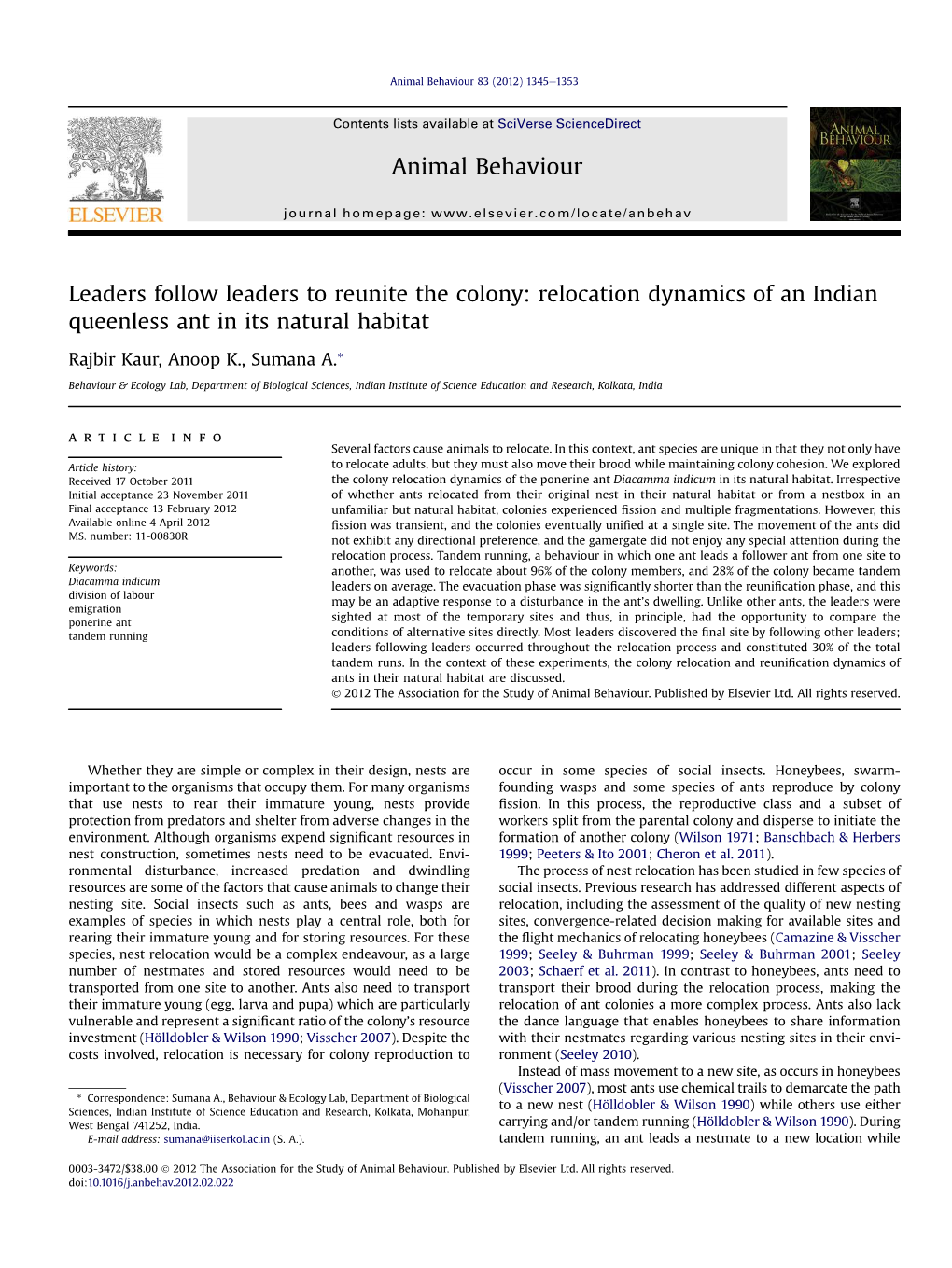 Leaders Follow Leaders to Reunite the Colony: Relocation Dynamics of an Indian Queenless Ant in Its Natural Habitat