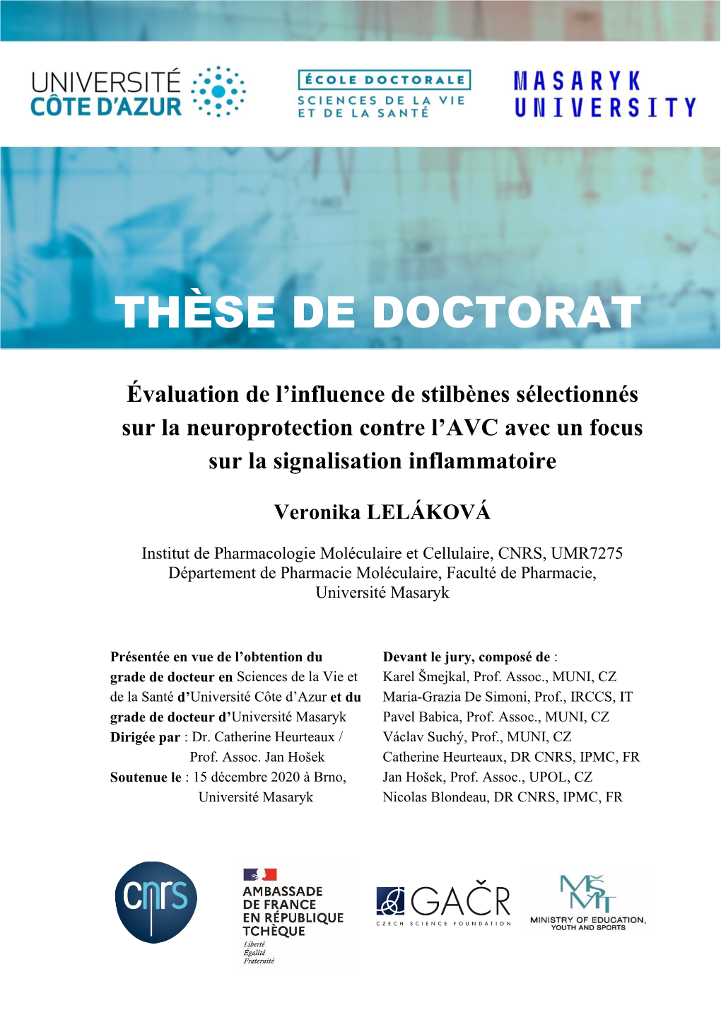 Thèse De Doctorat