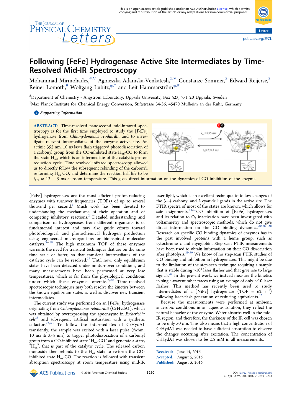 Following [Fefe] Hydrogenase Active Site Intermediates by Time