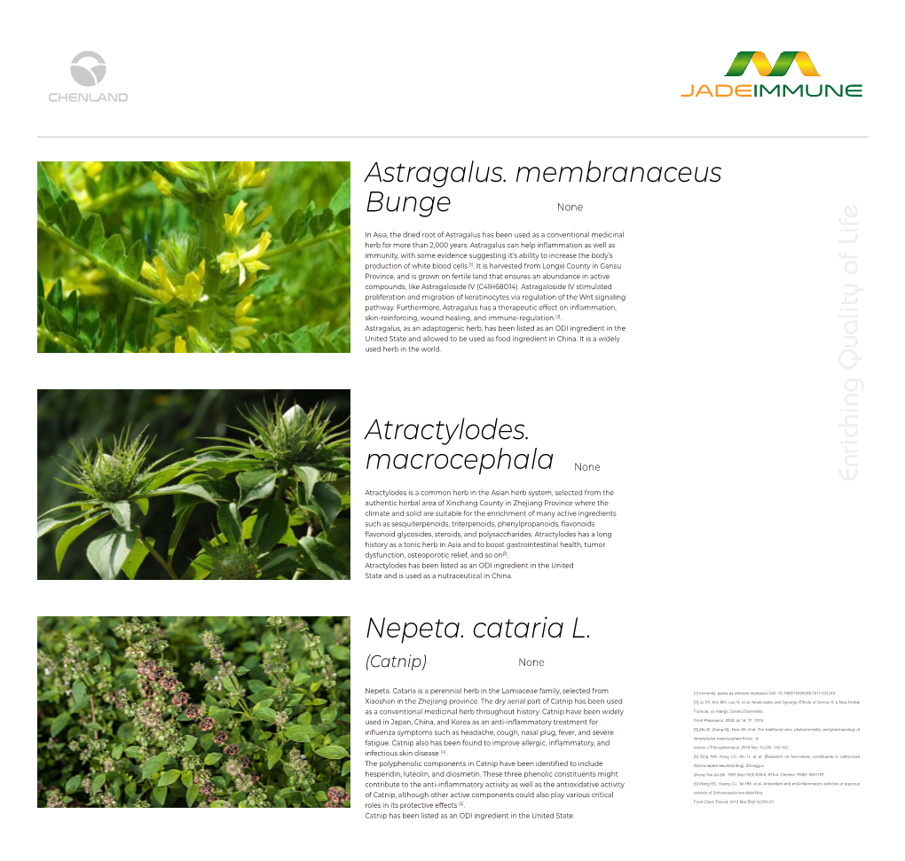Astragalus. Membranaceus Bunge Atractylodes. Macrocephala Nepeta. Cataria L