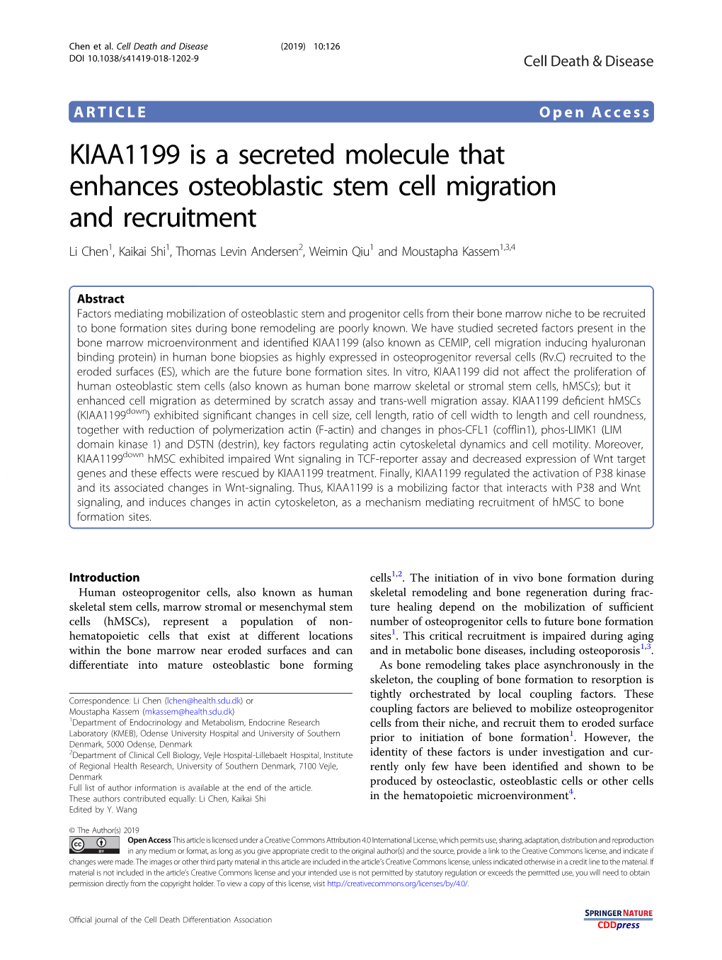 KIAA1199 Is a Secreted Molecule That Enhances Osteoblastic Stem Cell