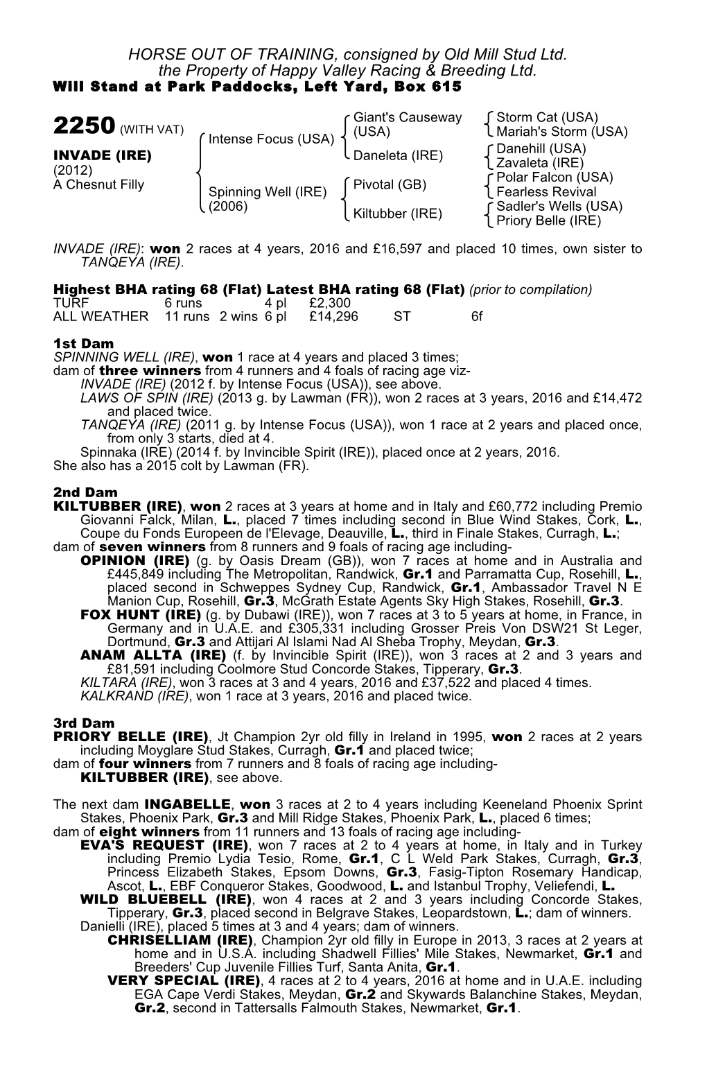 HORSE out of TRAINING, Consigned by Old Mill Stud Ltd. the Property of Happy Valley Racing & Breeding Ltd