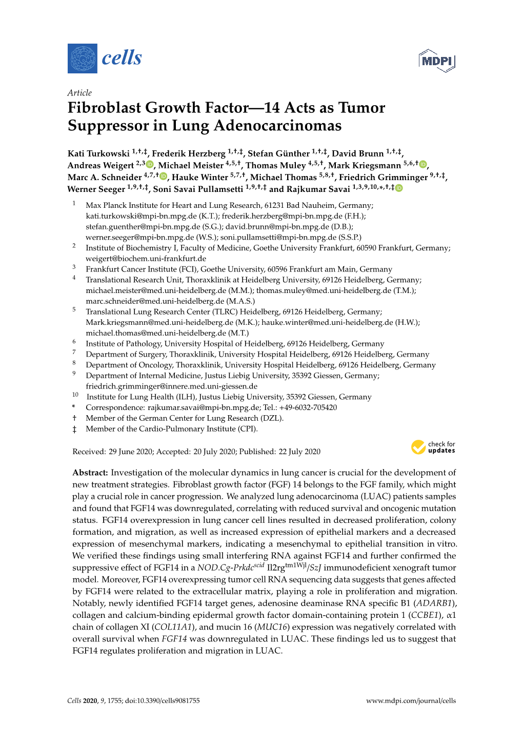 Fibroblast Growth Factor—14 Acts As Tumor Suppressor in Lung Adenocarcinomas