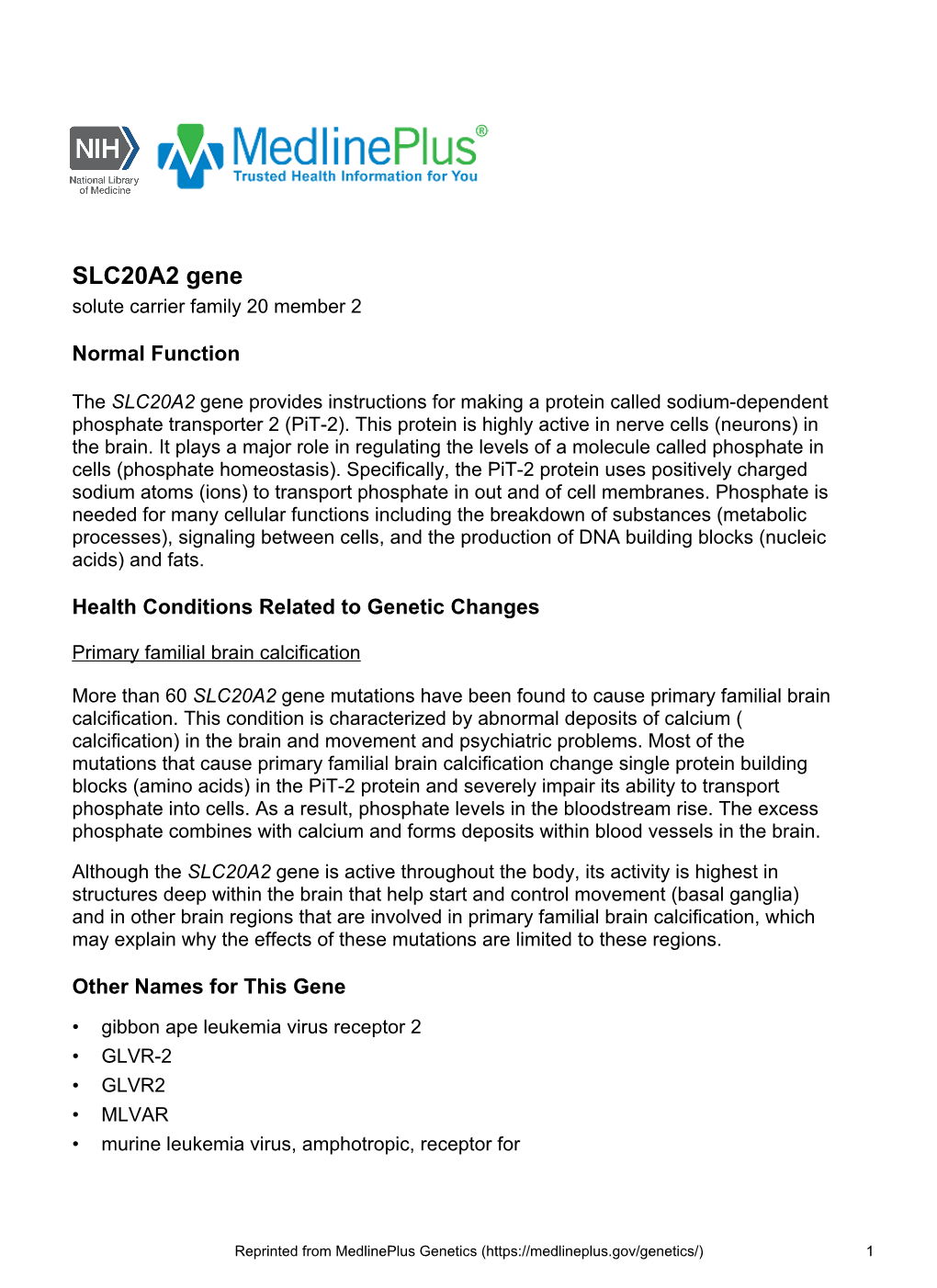 SLC20A2 Gene Solute Carrier Family 20 Member 2