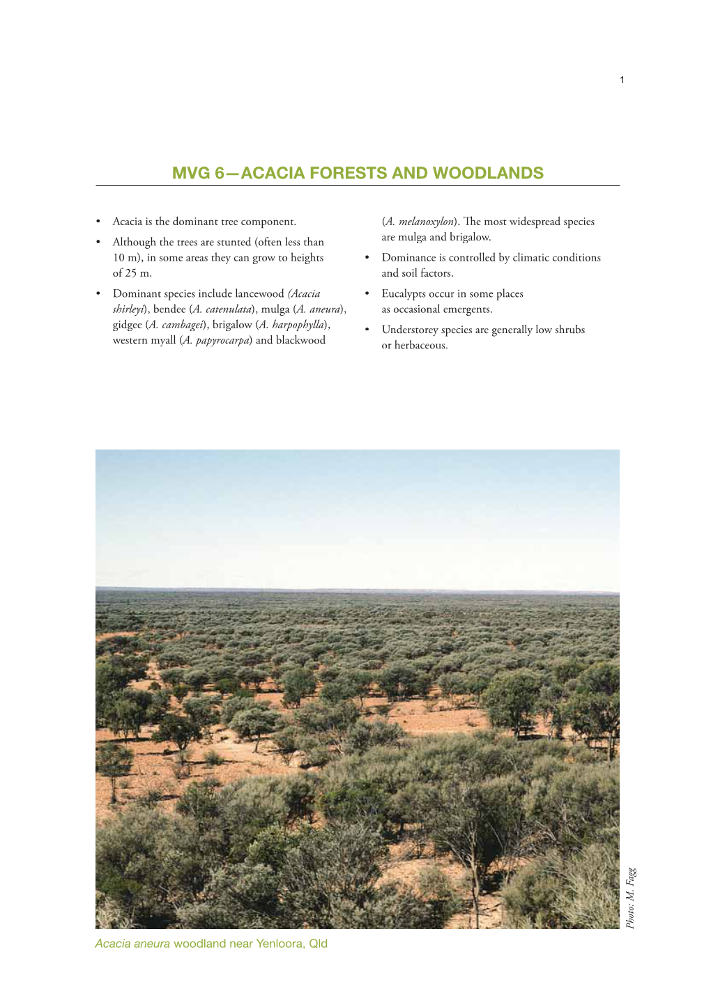 Mvg 6—Acacia Forests and Woodlands