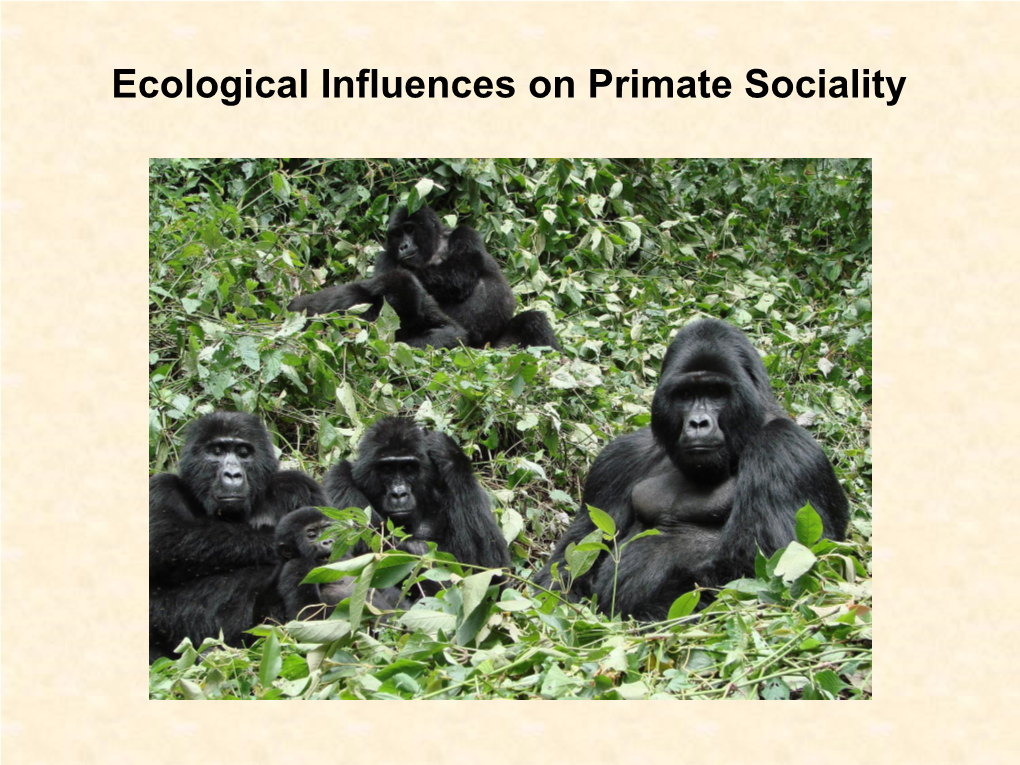 Ecological Influences on Primate Sociality Why Are Primates and Other Animals Social? SOLITARY