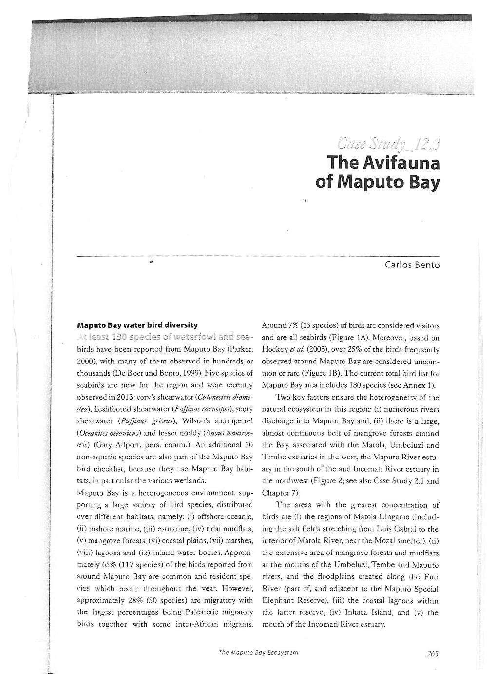 The Avifauna of Maputo Bay
