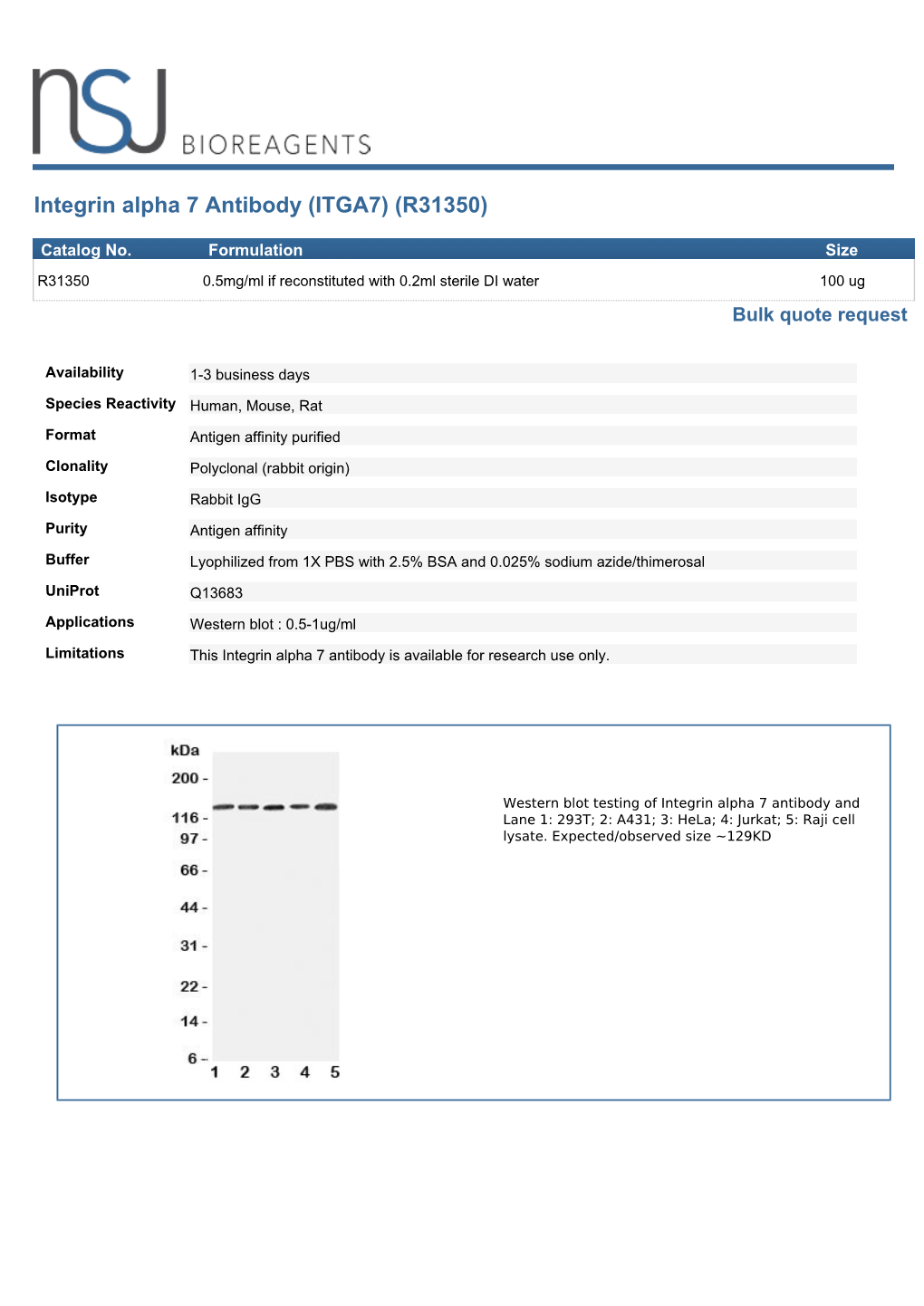 Integrin Alpha 7 Antibody (ITGA7) (R31350)