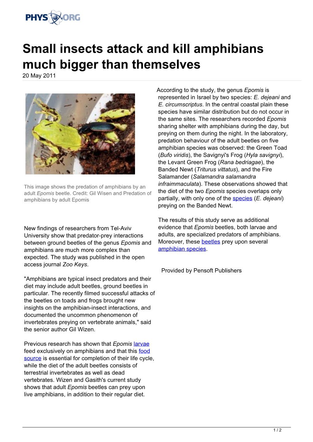 Small Insects Attack and Kill Amphibians Much Bigger Than Themselves 20 May 2011