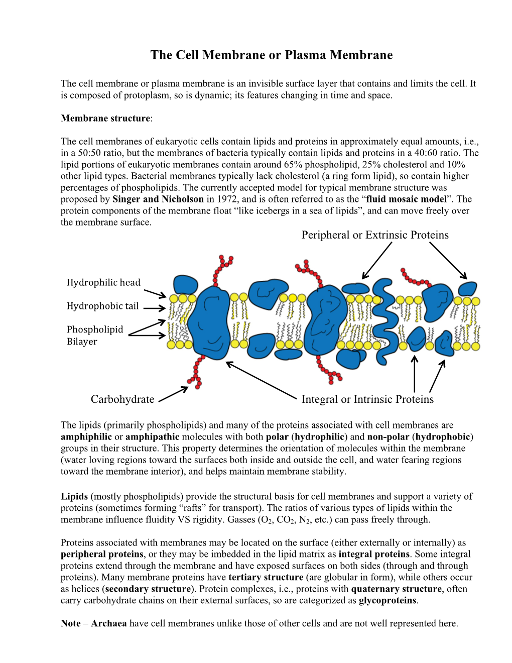 The Cell Membrane Or Plasma Membrane