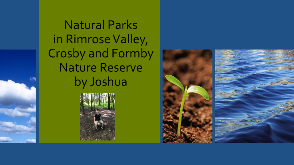Natural Parks by Joshua
