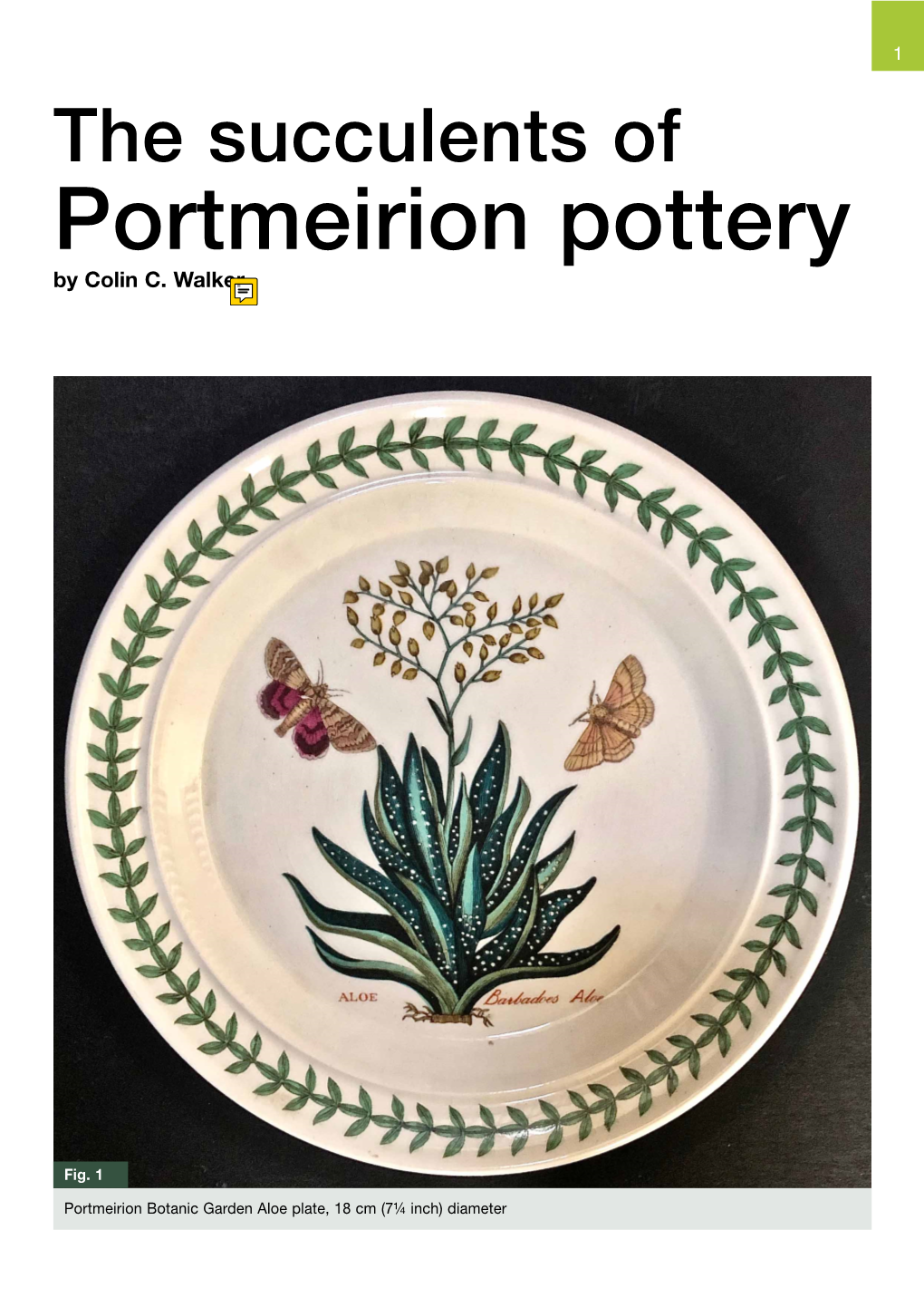 Portmeirion Pottery by Colin C