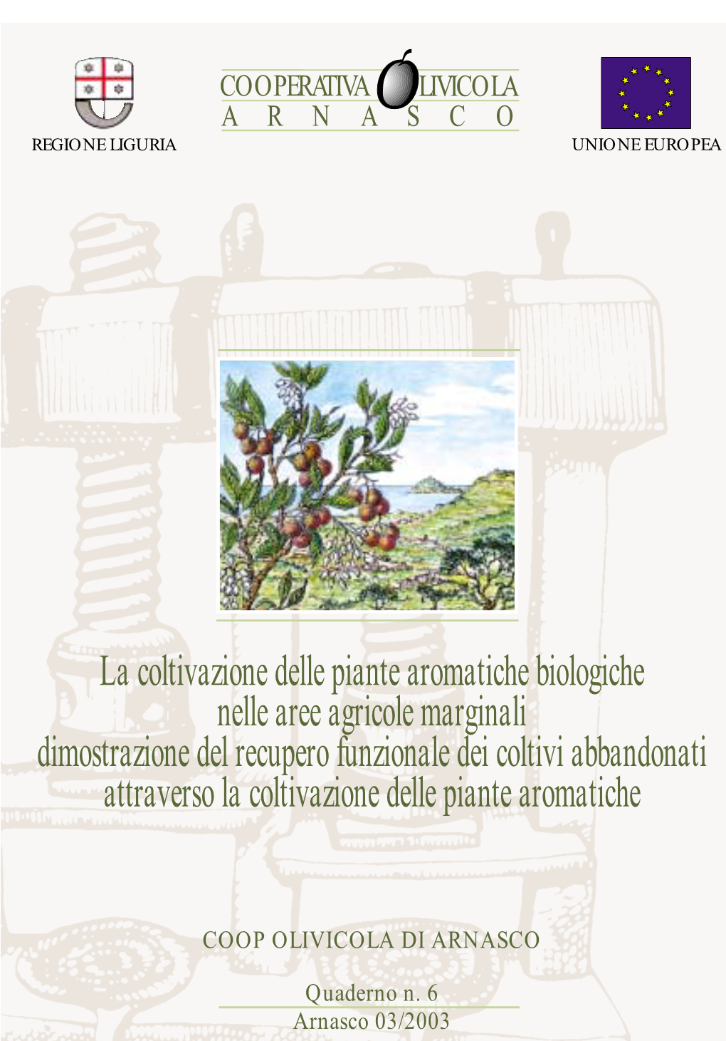 La Coltivazione Delle Piante Aromatiche Biologiche Nelle Aree